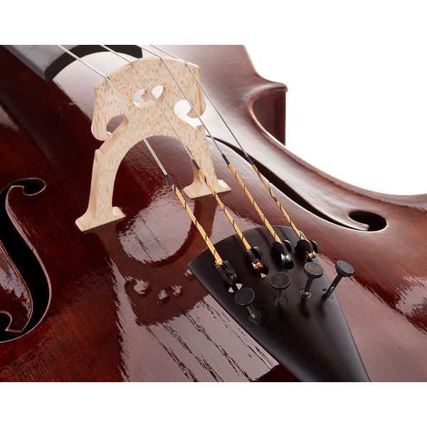 Détail 5 — Thomas Stöhr Master Cello Strad. Poplar 4/4