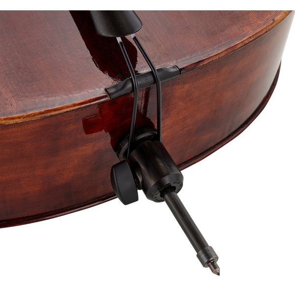 Détail 9 — Thomas Stöhr Master Cello Strad. Poplar 4/4