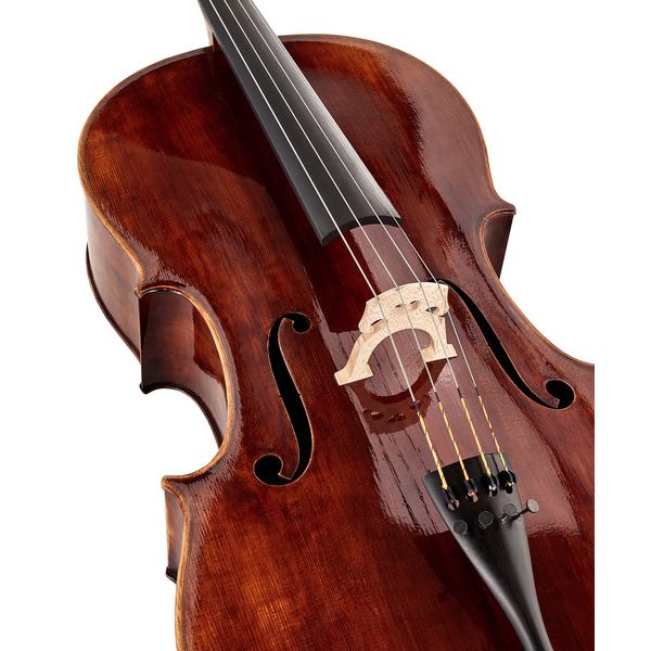 Détail 4 — Thomas Stöhr Master Cello Strad. Poplar 4/4