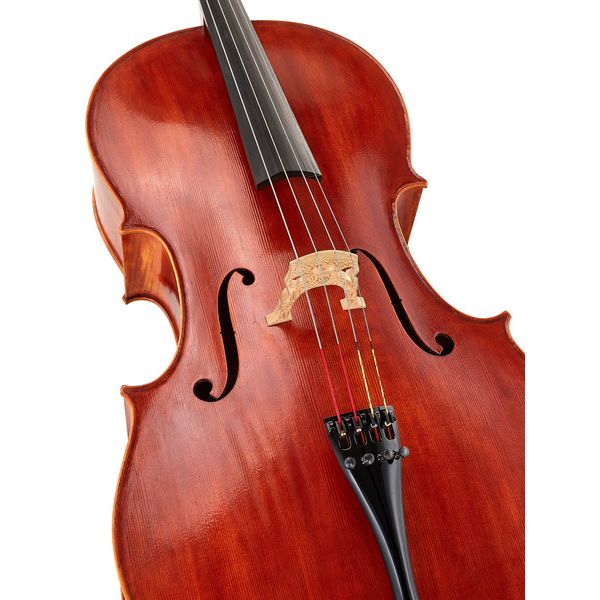 Détail 4 — Edgar Russ - Sound of Cremona Marco Dotti Gore - Booth Cello