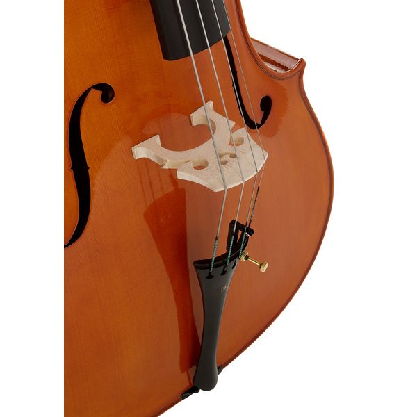 Détail 6 — Hidersine Nobile Cello Set 4/4