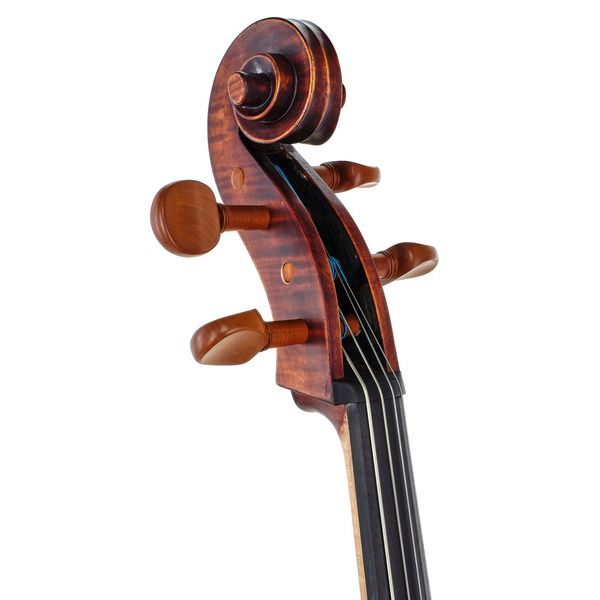 Détail 10 — Roth & Junius Europe Orchestra Cello An/Bw