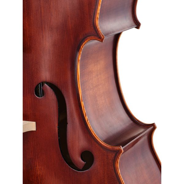 Détail 6 — Roth & Junius Europe Orchestra Cello An/Eb
