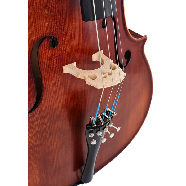 Détail 7 — Roth & Junius Europe Orchestra Cello An/Eb