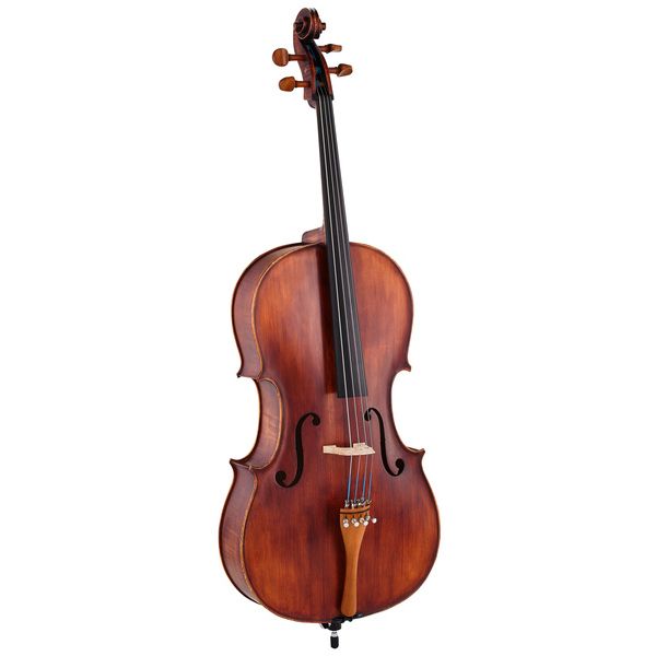 Détail 2 — Roth & Junius Europe Orchestra Cello An/Bw