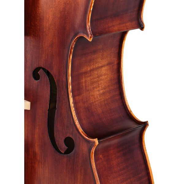 Détail 5 — Roth & Junius Europe Orchestra Cello Set A/B