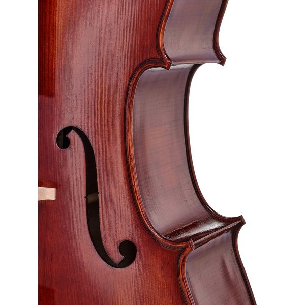 Détail 6 — Rainer W. Leonhardt No. 60/1 Master Cello 4/4