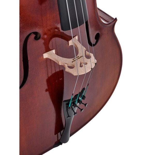 Détail 7 — Rainer W. Leonhardt No. 60/1 Master Cello 4/4