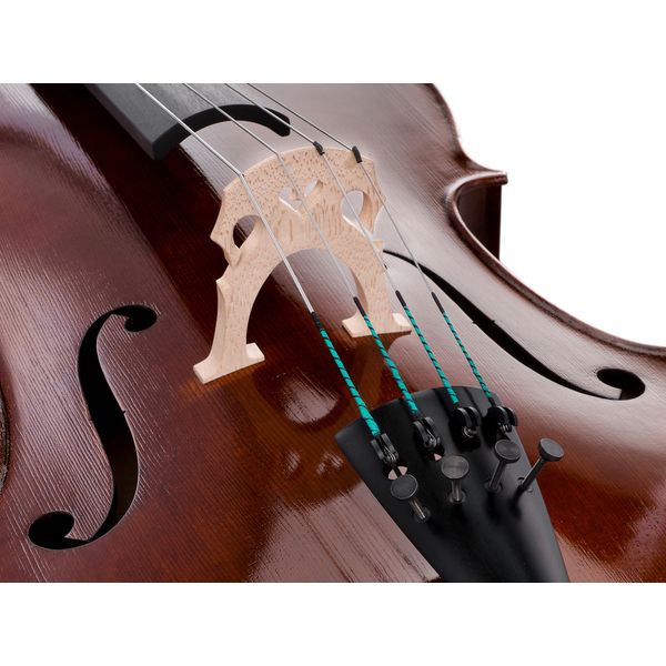 Détail 5 — Rainer W. Leonhardt No. 60/1 Master Cello 4/4