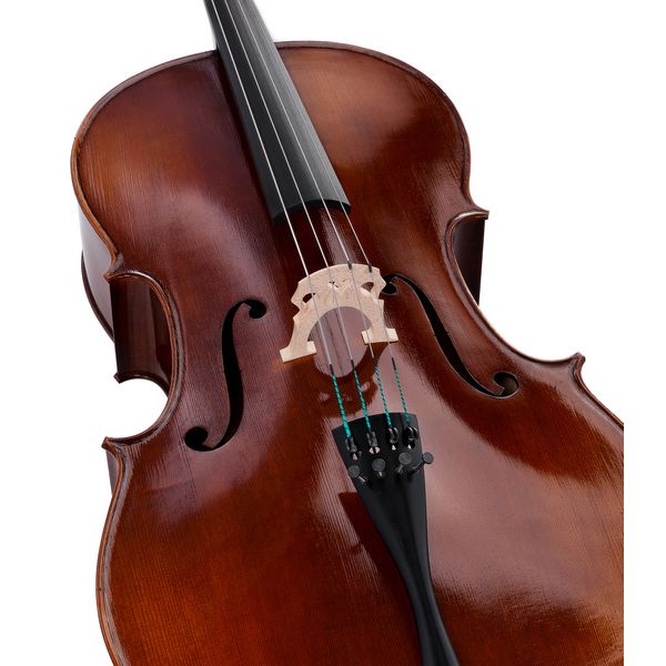 Détail 4 — Rainer W. Leonhardt No. 60/1 Master Cello 4/4