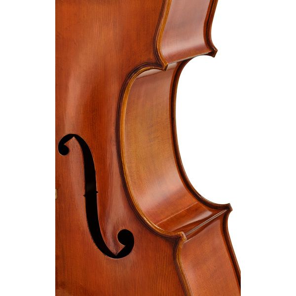 Détail 6 — Eastman Albert Nebel Cello VC601G+ 4/4