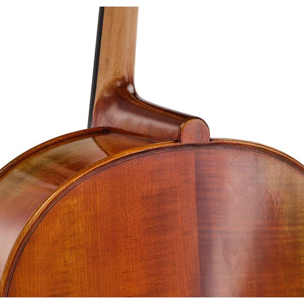 Détail 9 — Eastman Albert Nebel Cello VC601G+ 4/4