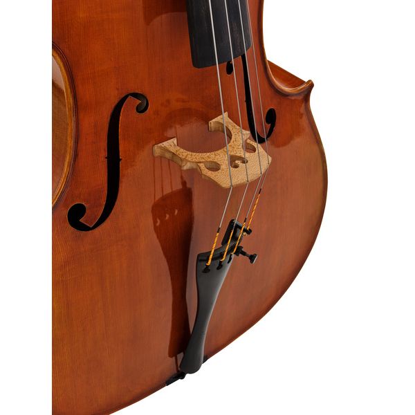 Détail 7 — Eastman Albert Nebel Cello VC601G+ 4/4