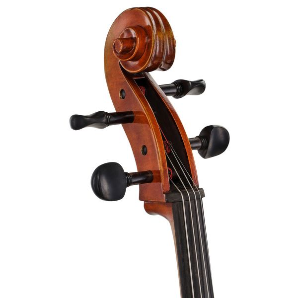 Détail 10 — Eastman Albert Nebel Cello VC601G+ 4/4
