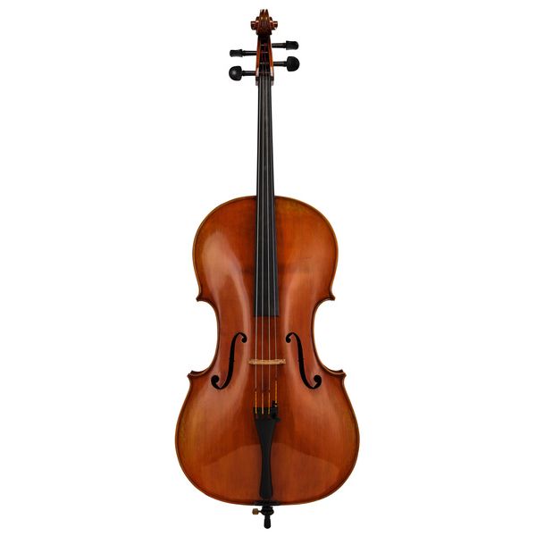 Détail 1 — Eastman Albert Nebel Cello VC601G+ 4/4