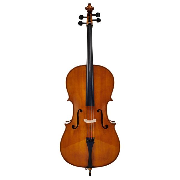 Détail 1 — Gewa Georg Walther Concert Cello GA