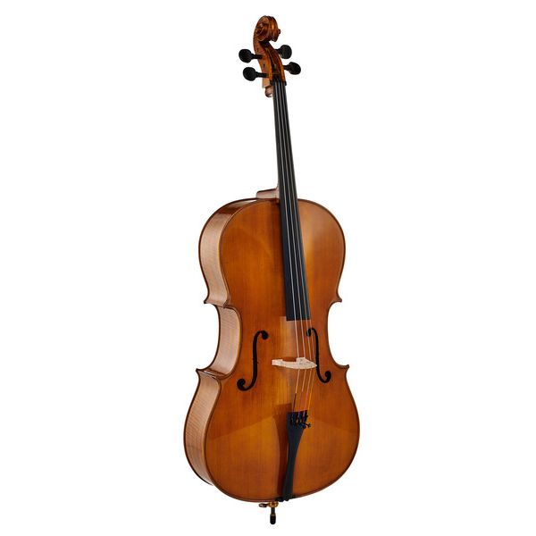 Détail 2 — Gewa Georg Walther Concert Cello GA
