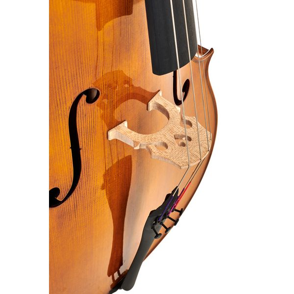 Détail 7 — Gewa Georg Walther Concert Cello GA