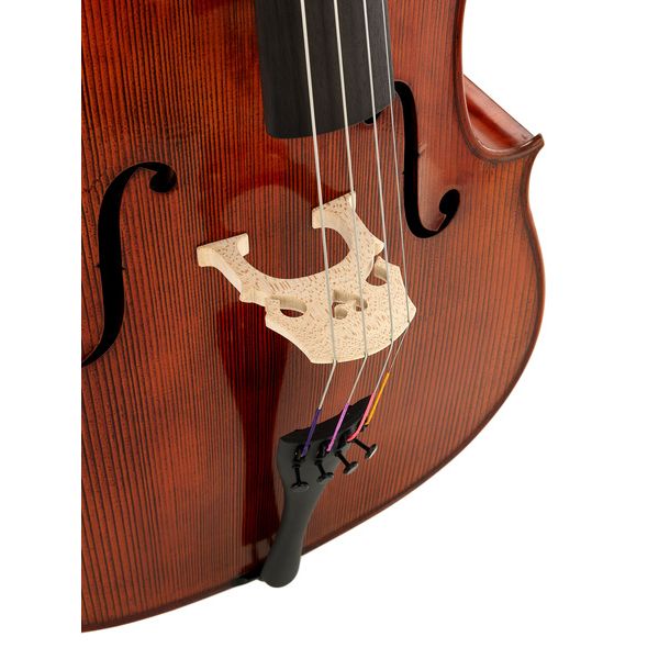 Détail 7 — Gewa Georg Walther Concert Cello MO