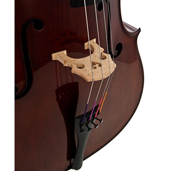 Détail 7 — Gewa Georg Walther Concert Cello RB