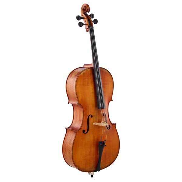Détail 1 — Gewa Germania 11 Berlin Antik Cello