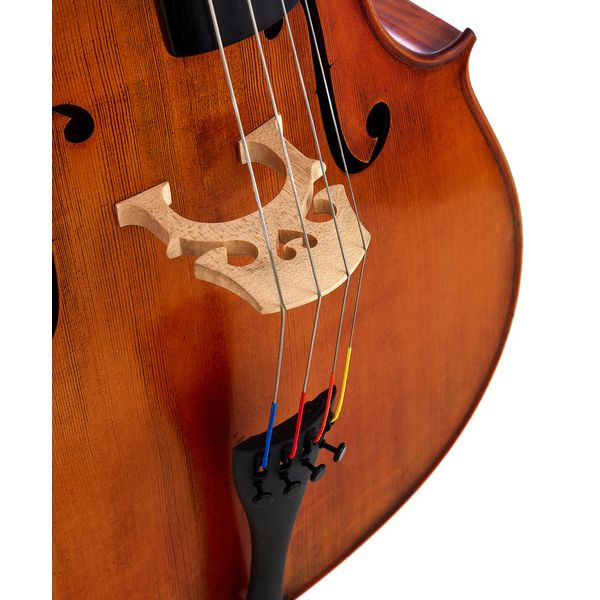 Détail 4 — Gewa Germania 11 Berlin Antik Cello