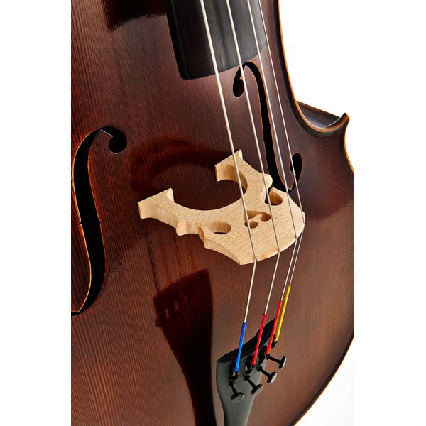 Détail 4 — Gewa Germania Paris Cello 4/4
