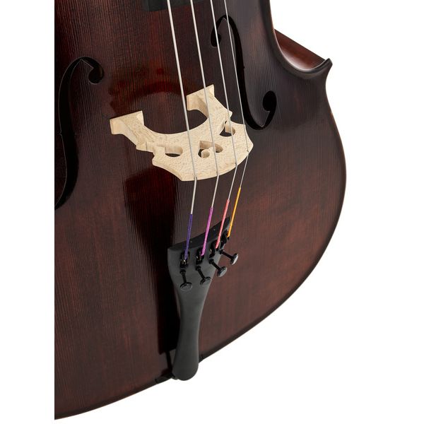 Détail 7 — Gewa Germania Rom Ant. Cello 7/8