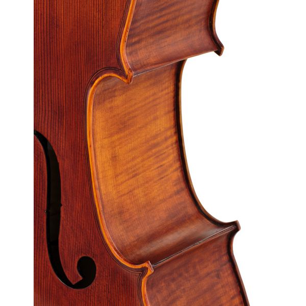 Détail 6 — Stentor SR1596 Cello Arcadia 4/4