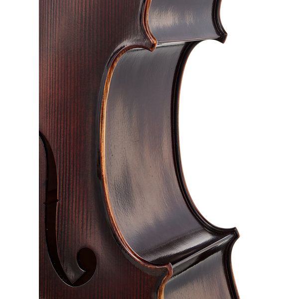 Détail 6 — Gewa Germania Paris Ant. Cello 7/8