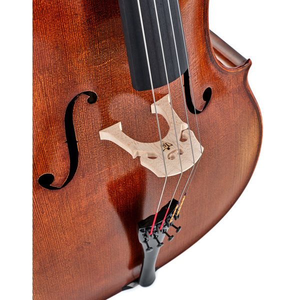 Détail 7 — Lothar Semmlinger No. 300 Solo Cello Oil 4/4