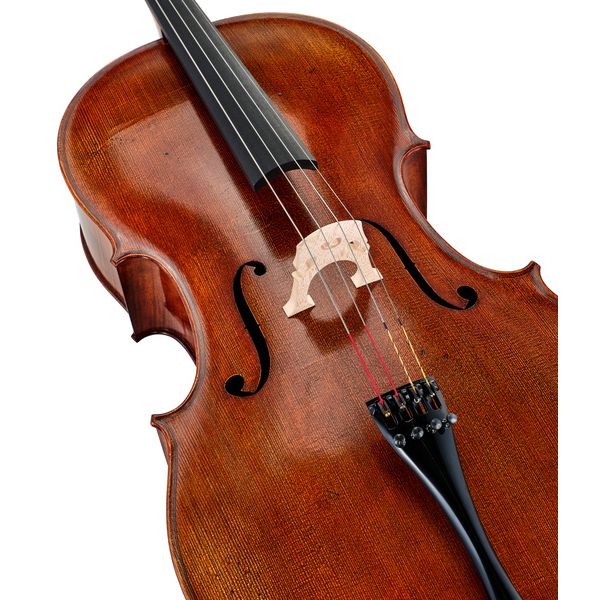 Détail 4 — Lothar Semmlinger No. 300 Solo Cello Oil 4/4