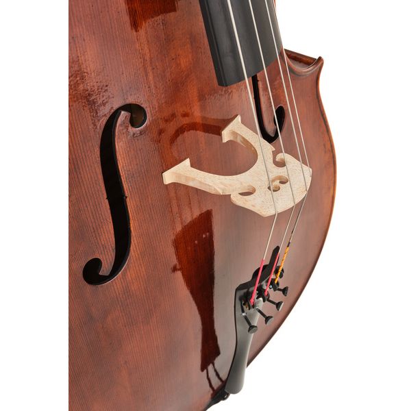 Détail 7 — Thomas Stöhr Master Professional Montagnana