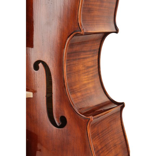 Détail 6 — Thomas Stöhr Master Professional Montagnana