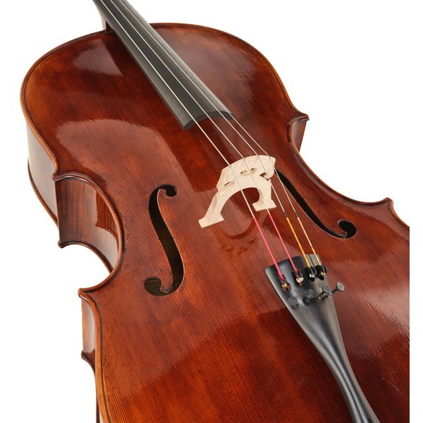 Détail 4 — Thomas Stöhr Master Professional Montagnana