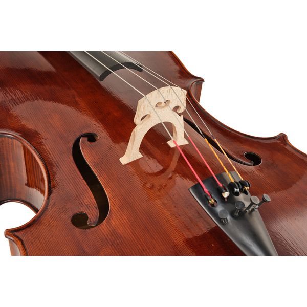 Détail 5 — Thomas Stöhr Master Professional Montagnana