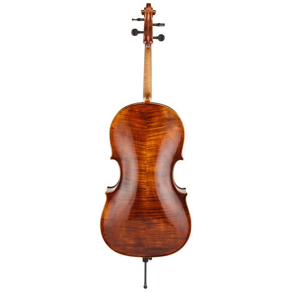 Détail 3 — Thomas Stöhr Master Professional Montagnana