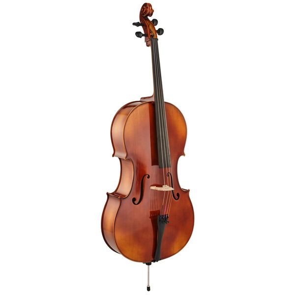 Détail 2 — Gewa Allegro VC1 Cello Set 4/4 FT