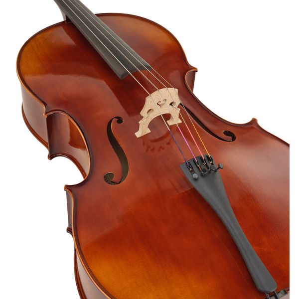 Détail 4 — Gewa Allegro VC1 Cello Set 4/4 FT