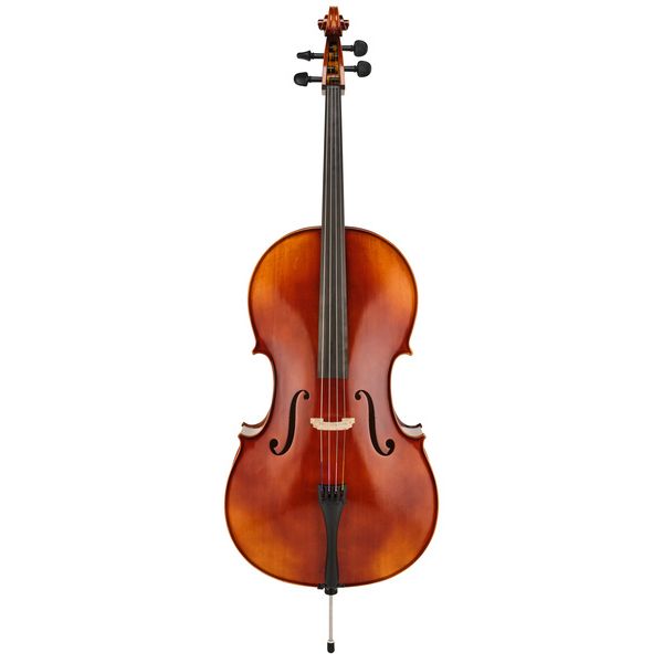Détail 1 — Gewa Allegro VC1 Cello Set 4/4 FT