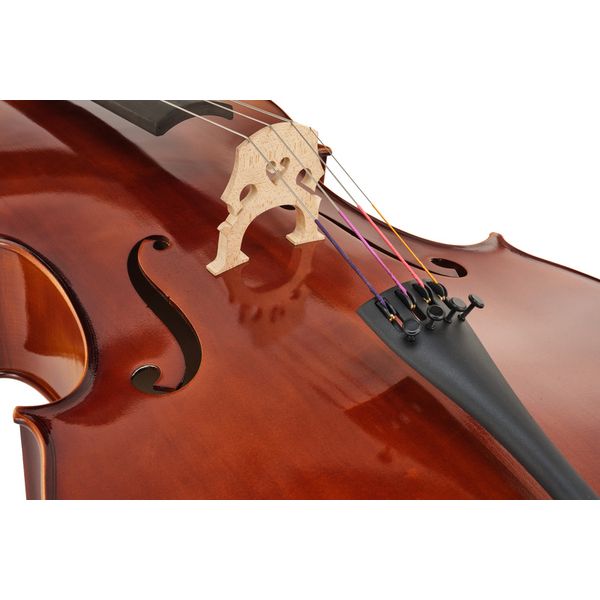 Détail 5 — Gewa Allegro VC1 Cello Set 4/4 FT