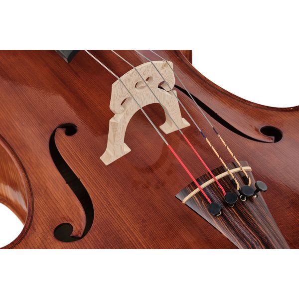 Détail 5 — Luca Zerilli Cello Stradivari Aurora 4/4
