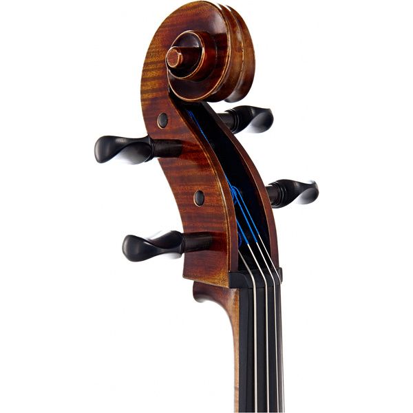 Détail 3 — Gewa Germania 11 Rom Antik Cello