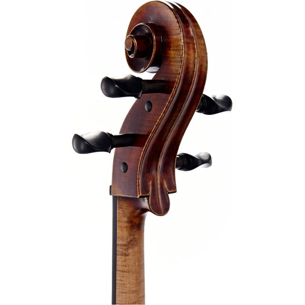 Détail 4 — Gewa Germania 11 Rom Antik Cello