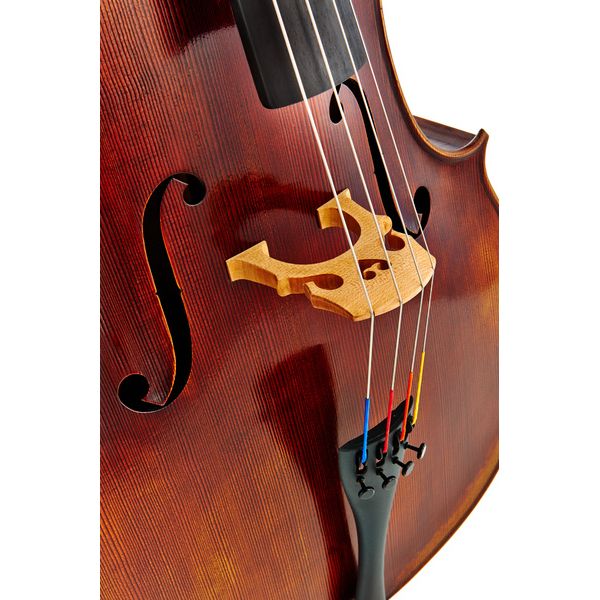 Détail 5 — Gewa Germania 11 Rom Antik Cello