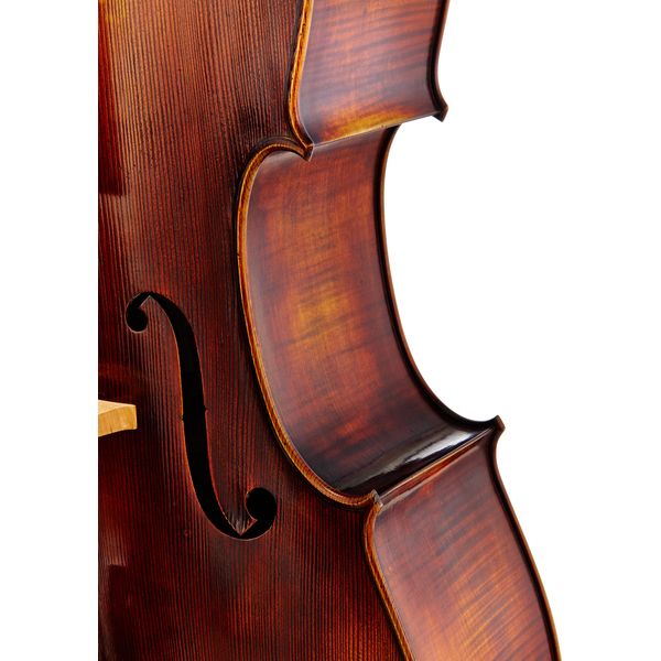 Détail 6 — Gewa Germania 11 Rom Antik Cello