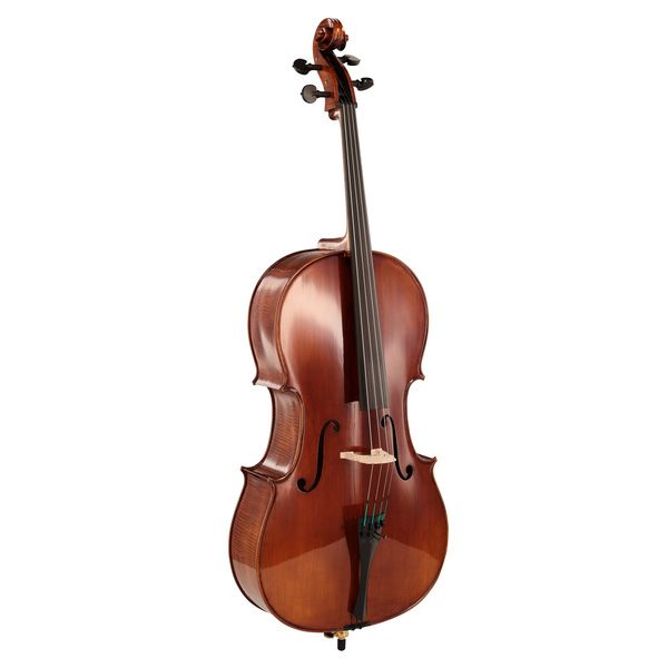 Détail 2 — Rainer W. Leonhardt No. 36/1 Master Cello 4/4