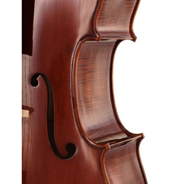 Détail 7 — Rainer W. Leonhardt No. 36/1 Master Cello 4/4