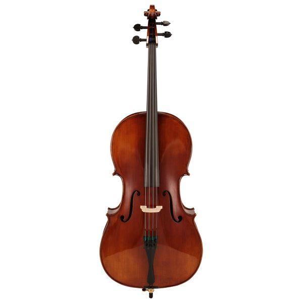 Détail 1 — Rainer W. Leonhardt No. 36/1 Master Cello 4/4
