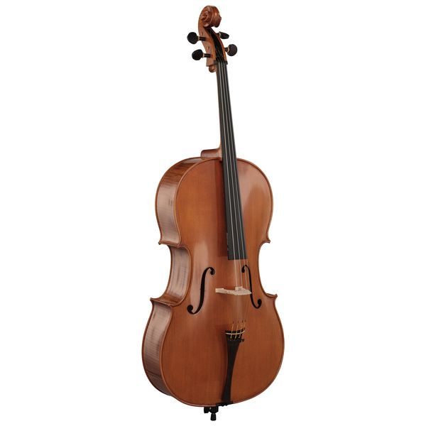 Détail 2 — Rainer W. Leonhardt No. 300 Master Cello 4/4